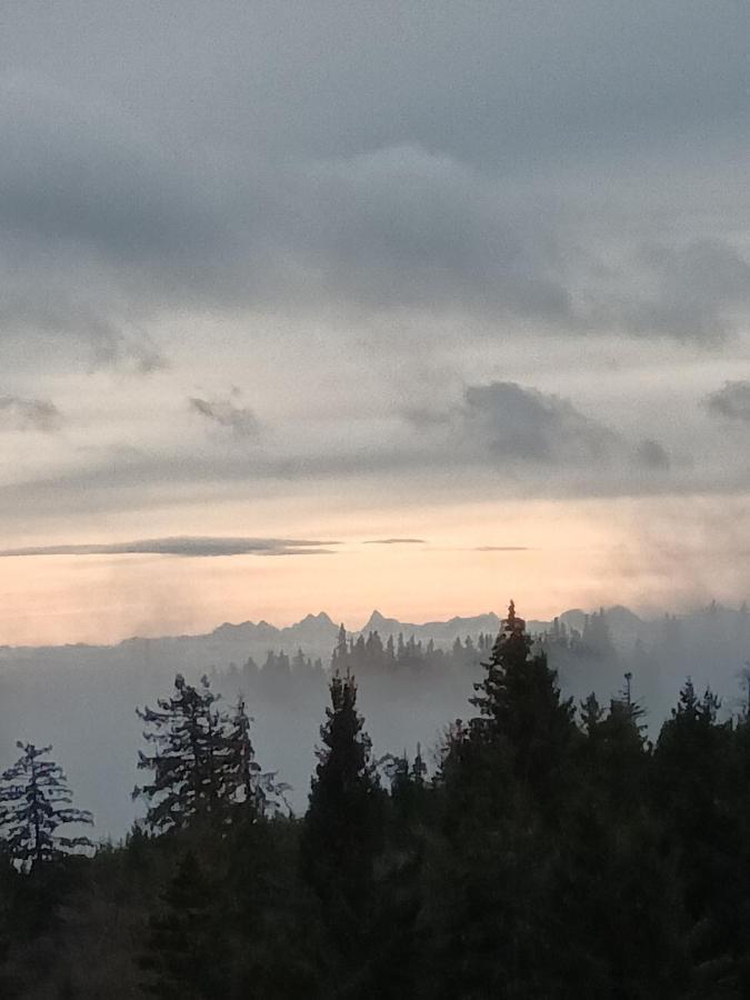 Terre De Sapins - Gites Nature Haut De Gamme Avec Sauna Au Coeur Du Lac Blanc Orbey Extérieur photo