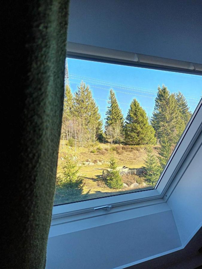Terre De Sapins - Gites Nature Haut De Gamme Avec Sauna Au Coeur Du Lac Blanc Orbey Extérieur photo