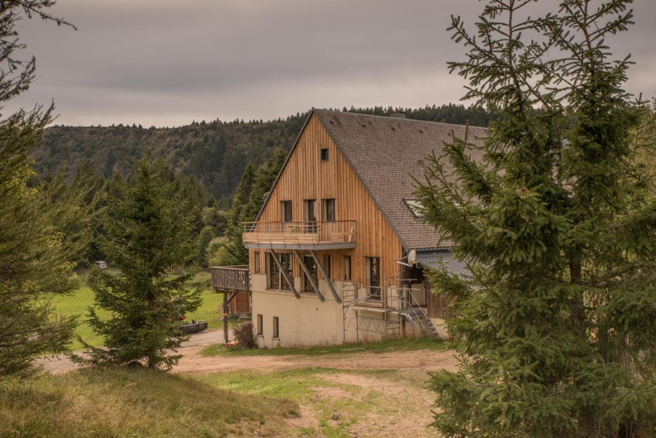 Terre De Sapins - Gites Nature Haut De Gamme Avec Sauna Au Coeur Du Lac Blanc Orbey Extérieur photo