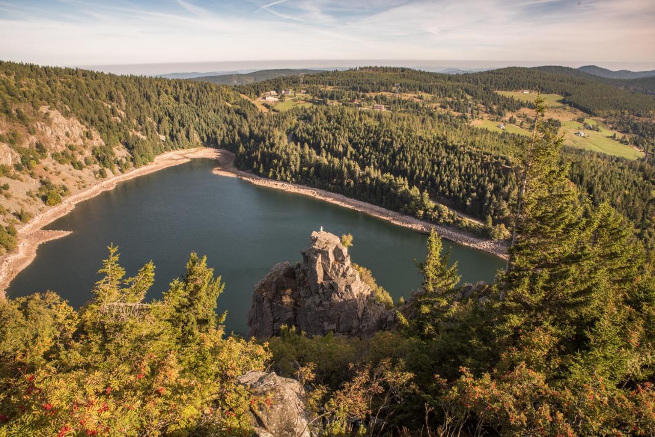 Terre De Sapins - Gites Nature Haut De Gamme Avec Sauna Au Coeur Du Lac Blanc Orbey Extérieur photo